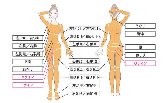 レジーナの施術箇所