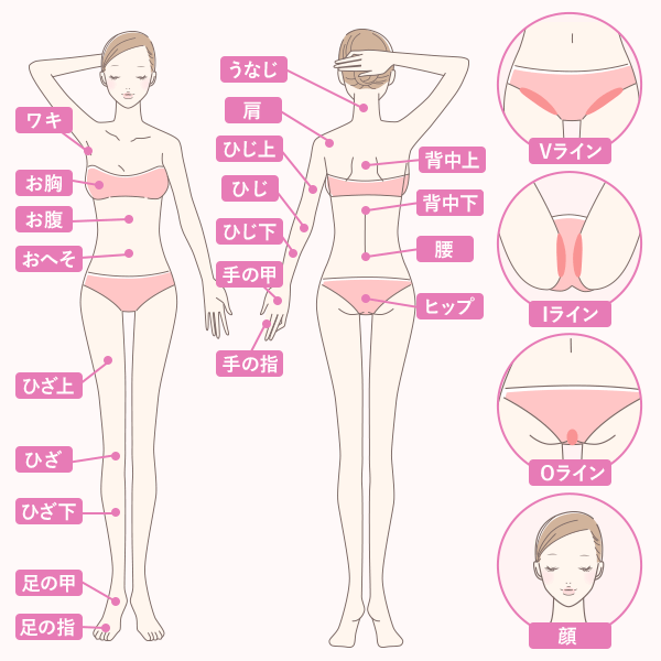 全身脱毛やVIO脱毛の脱毛範囲を図解で解説!