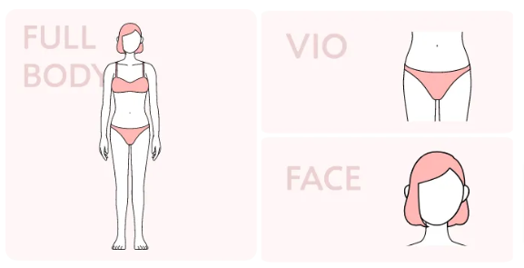 エミナルクリニックのVIO+顔+全身脱毛箇所